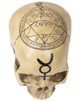 Too Fast | Fantasy Gifts | Pentagram Skull Decor