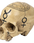 Too Fast | Fantasy Gifts | Pentagram Skull Decor